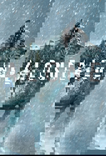 poster for season 11
