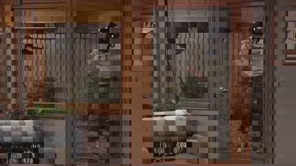 Episode image for 2x10