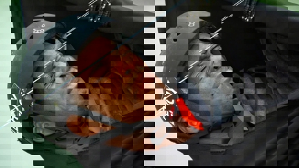 Episode image for 26x07