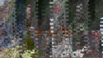 Episode image for 2x06