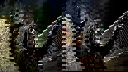 Episode image for 1x11