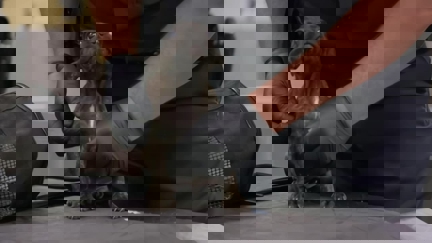 Episode image for 4x01