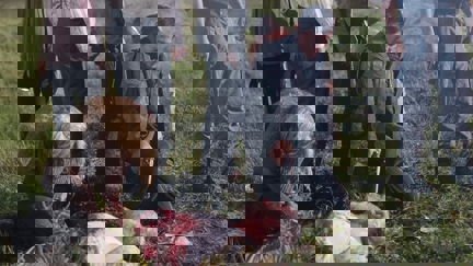 Episode image for 2x11