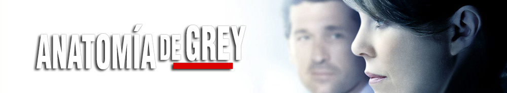 banner of Grey's Anatomy