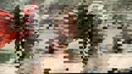 Episode image for 1x10