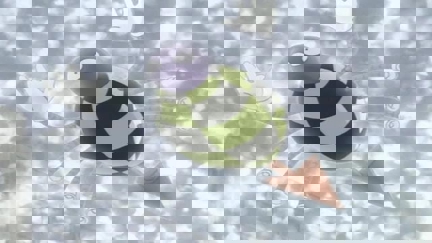 Episode image for 1x59