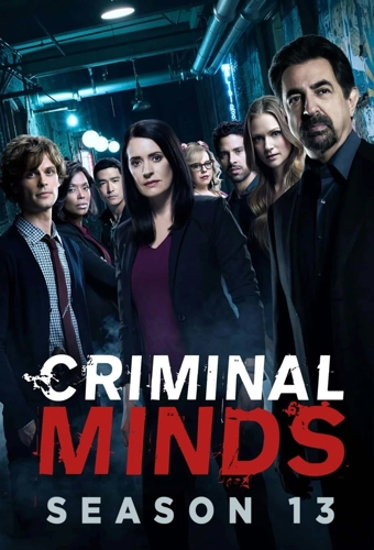 poster for season 13
