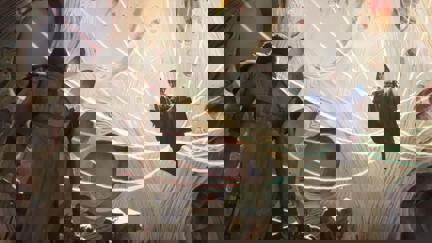 Episode image for 2x06