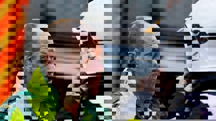 Episode image for 27x27