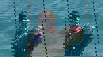 Episode image for 37x14