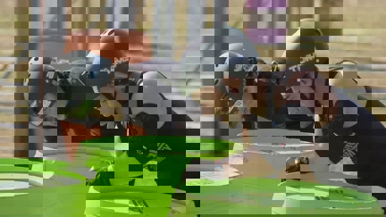 Episode image for 38x03