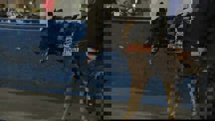 Episode image for 2x15