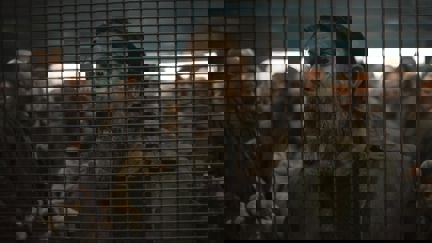Episode image for 2x10