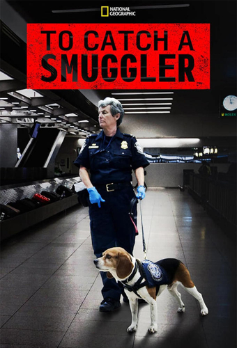 poster for season 2