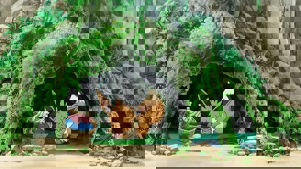 Episode image for 22x07