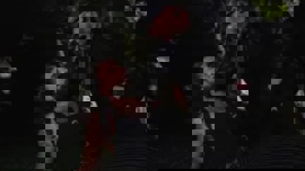 Episode image for 19x19