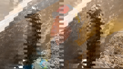 Episode image for 9x03