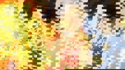 Episode image for 7x11