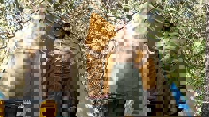 Episode image for 5x05