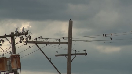 Episode image for 21x53