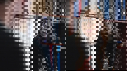 Episode image for 6x64