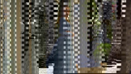 Episode image for 4x08