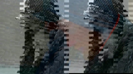 Episode image for 1x72