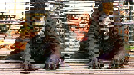 Episode image for 23x25