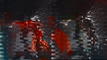 Episode image for 1x05