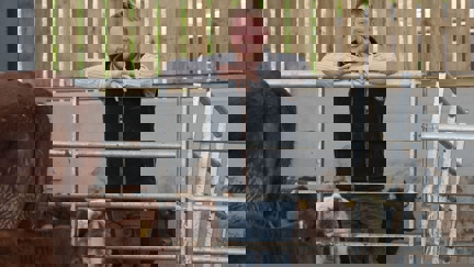 Episode image for 2x05