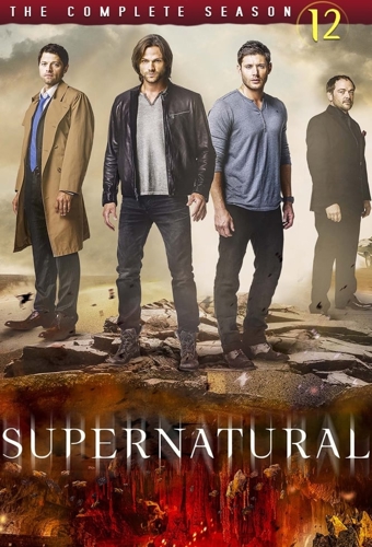 poster for season 12