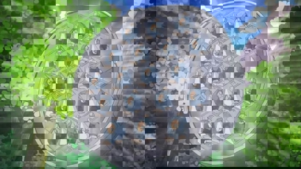 Episode image for 14x34