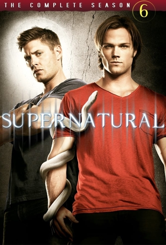 poster for season 6
