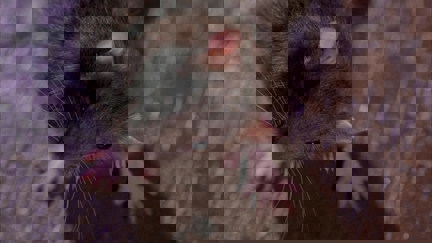 Episode image for 2x07