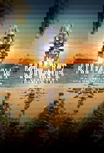 poster for season 32