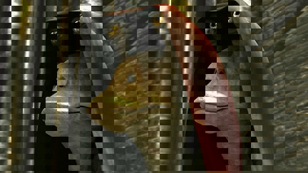Episode image for 1x08