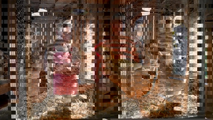 Episode image for 3x11