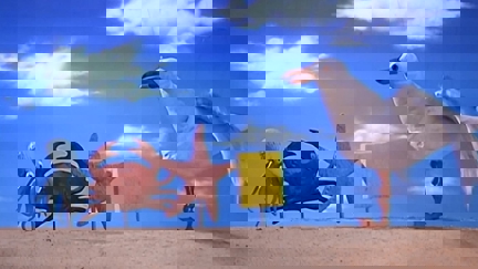 Episode image for 2x20