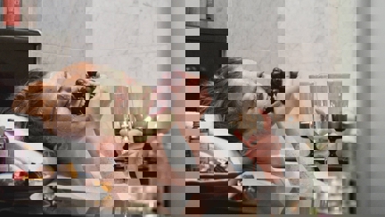 Episode image for 2x07