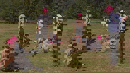 Episode image for 8x08