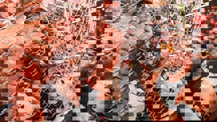 Episode image for 17x39