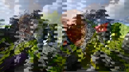 Episode image for 43x01