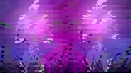 Episode image for 10x43