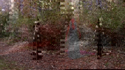 Episode image for 11x10