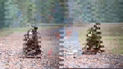 Episode image for 4x13