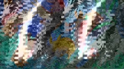 Episode image for 12x36