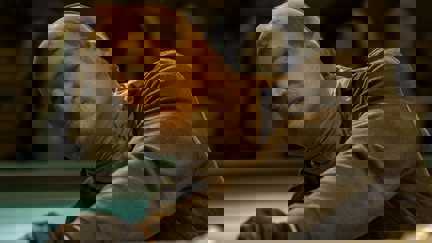 Episode image for 1x08