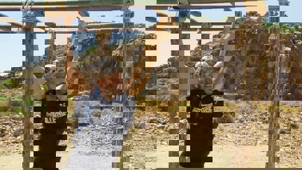 Episode image for 27x10