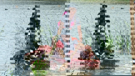 Episode image for 29x03