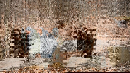 Episode image for 2x05